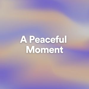 A Peaceful Moment