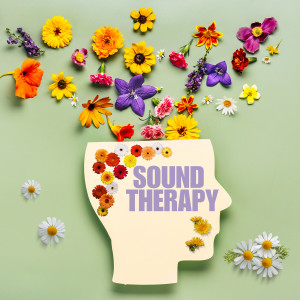 อัลบัม Sound Therapy ศิลปิน Various