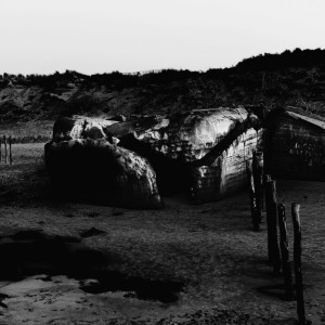 Dengarkan Dearborn and Buried (Vinyl Version) lagu dari Amenra dengan lirik