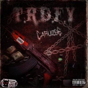 Album T.R.D.F.Y. (Explicit) from Caruzee