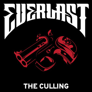 ดาวน์โหลดและฟังเพลง The Culling พร้อมเนื้อเพลงจาก Everlast