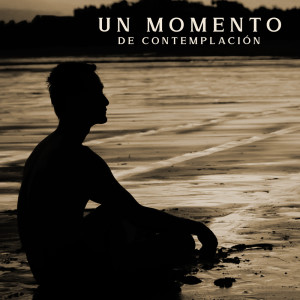 Album Un Momento de Contemplación (Meditación Zen para la Paz de la Mente) from Meditación Budista Academia