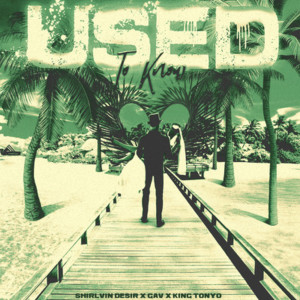 收听shirlvin desir的Used to Know歌词歌曲