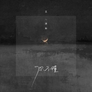 Listen to 你不懂 song with lyrics from 王泽科