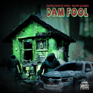 Album Dam Fool from PaperRoute Woo