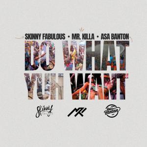 Listen to Do What Yuh Want song with lyrics from Skinny Fabulous