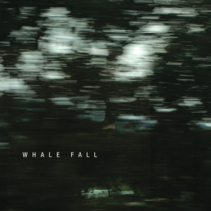 Listen to You Go Up, I Go Down song with lyrics from Whale Fall