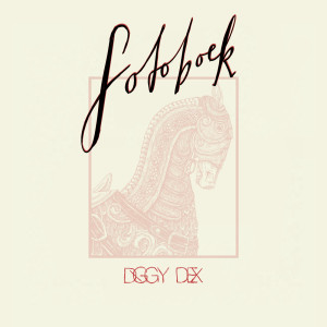 ดาวน์โหลดและฟังเพลง Fotoboek พร้อมเนื้อเพลงจาก Diggy Dex