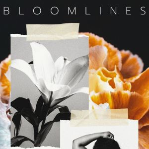 Piano Jazz Masters的專輯Bloomlines (Collage of Grace)