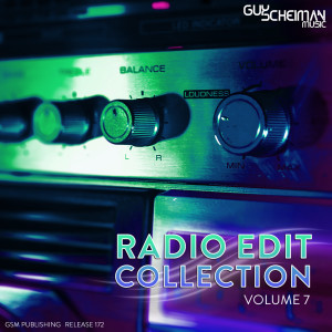 Album Radio Edit Collection, Vol. 7 from Guy Scheiman