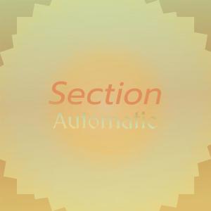 Dengarkan Section Automatic lagu dari Wilo Monu dengan lirik