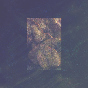 fthmlss的專輯Fleeting (Thoma Remix)