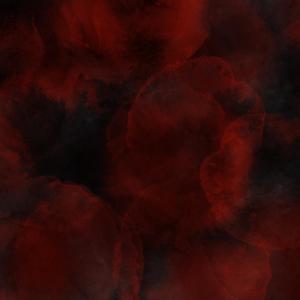 Album The Chasm from BrainDead