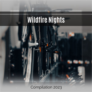 Various Artists的專輯Wildfire Nights