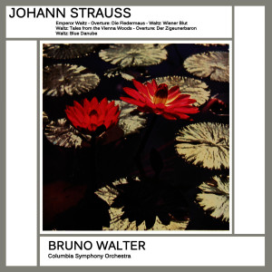 Dengarkan Emperor Waltz, Op. 437 lagu dari Columbia Symphony Orchestra, New York Philharmonic, Thomas Schippers dengan lirik