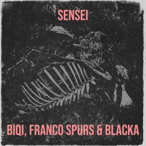 Listen to Sensei (Explicit) song with lyrics from Biqi