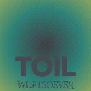 Album Toil Whatsoever from Various