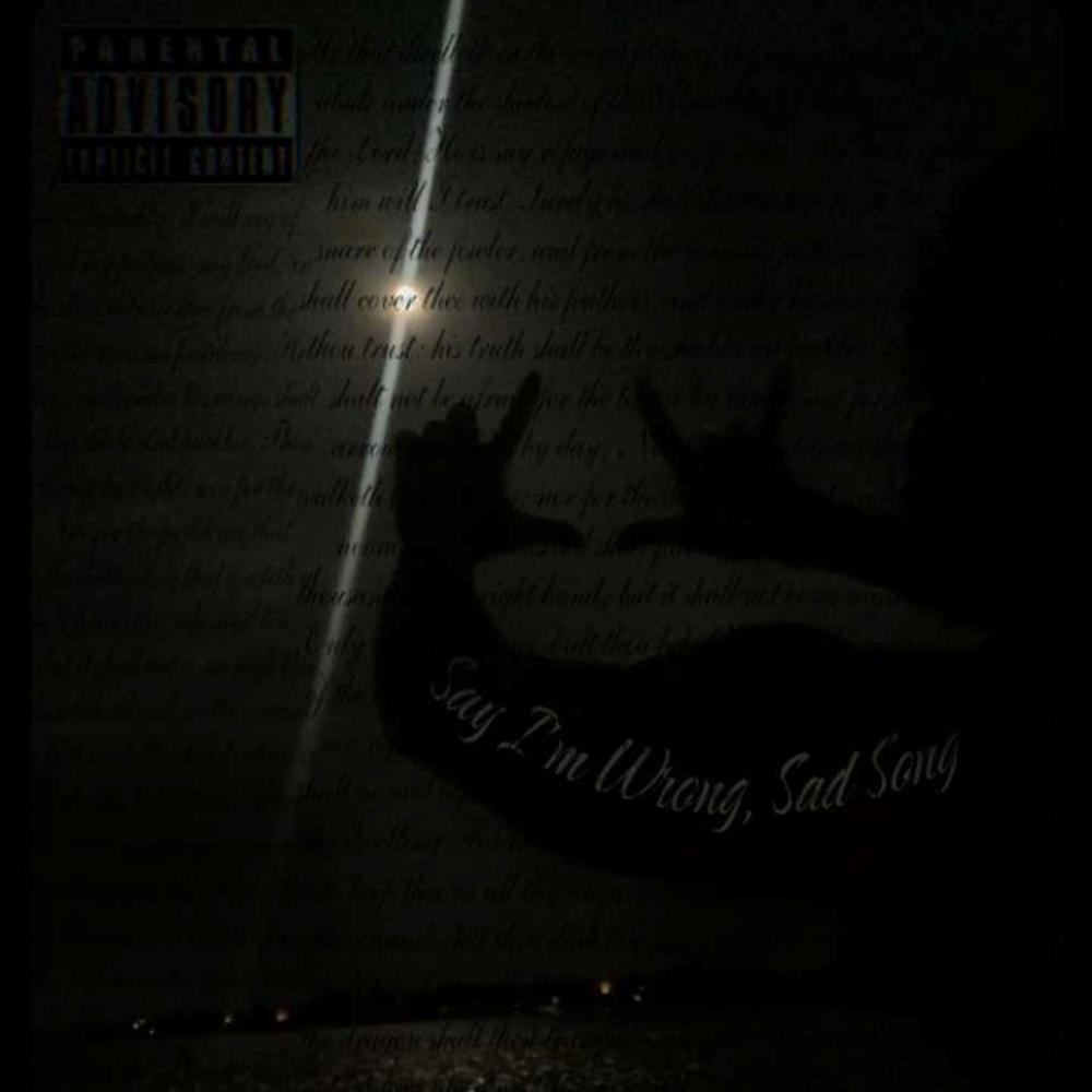 Say I'm Wrong, Sad Song (Explicit)
