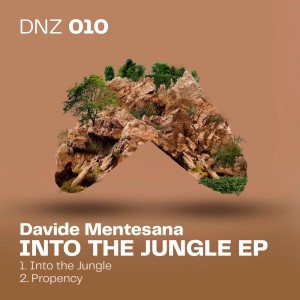 Listen to Into the Jungle (Original Mix) song with lyrics from Davide Mentesana