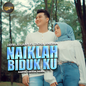 Album Naiklah Biduk Ku from Defri Juliant