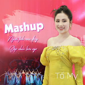 Album Mashup Người tình mùa đông - Gặp nhau làm ngơ (Xuân Phát Tài 15) from To My
