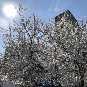 Dengarkan lagu Уход nyanyian MARKENLY dengan lirik