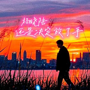 อัลบัม 还是决定放了手(翻唱) ศิลปิน 杨晓陆