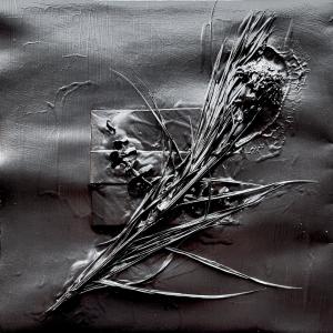 ดาวน์โหลดและฟังเพลง Amateracles พร้อมเนื้อเพลงจาก Tatlo