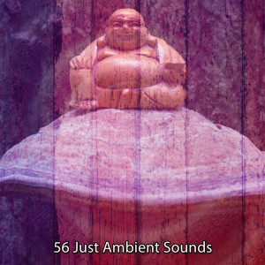 Album 56 Just Ambient Sounds oleh Music for Reading