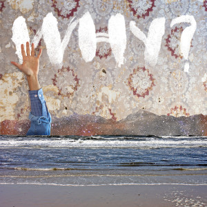 收聽WHY?的Consequence of Nonaction歌詞歌曲