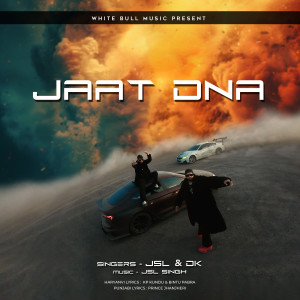 DK Saharan的專輯JAAT DNA