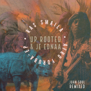 ดาวน์โหลดและฟังเพลง Je Ednaa (Afro Beat Remix) พร้อมเนื้อเพลงจาก Ras Smaila