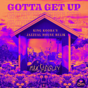 Max Sedgley的專輯Gotta Get Up (King Kooba's Jazzual House Relik)