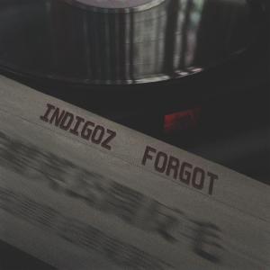 Album Forgot from INDIGOZ