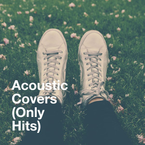 Album Acoustic Covers (Only Hits) from The Cover Crew