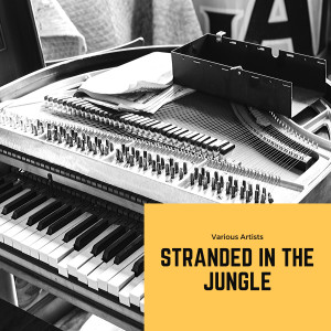 อัลบัม Stranded in the Jungle ศิลปิน Mac Curtis