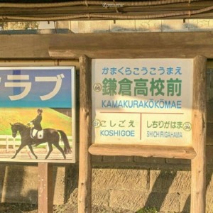 Album 0804 from Bomb比尔