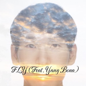 Brownguy的专辑Fly