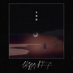 Listen to 你的样子 song with lyrics from 朱震颐