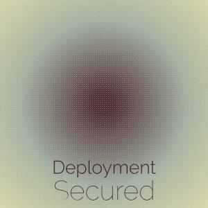 Various Artists的专辑Deployment Secured