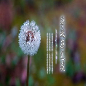 อัลบัม 東方冥想音樂系列 (23): 夢魂無覓處 ศิลปิน 陈主惠