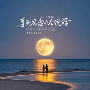 Album 等到思念也会说话（月下对唱） from 魏佳艺