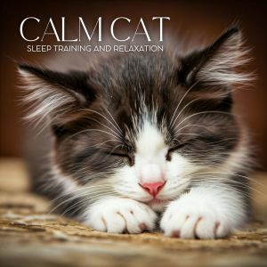 Cats Music Zone的專輯Calm Cat Sleep Training and Relaxation