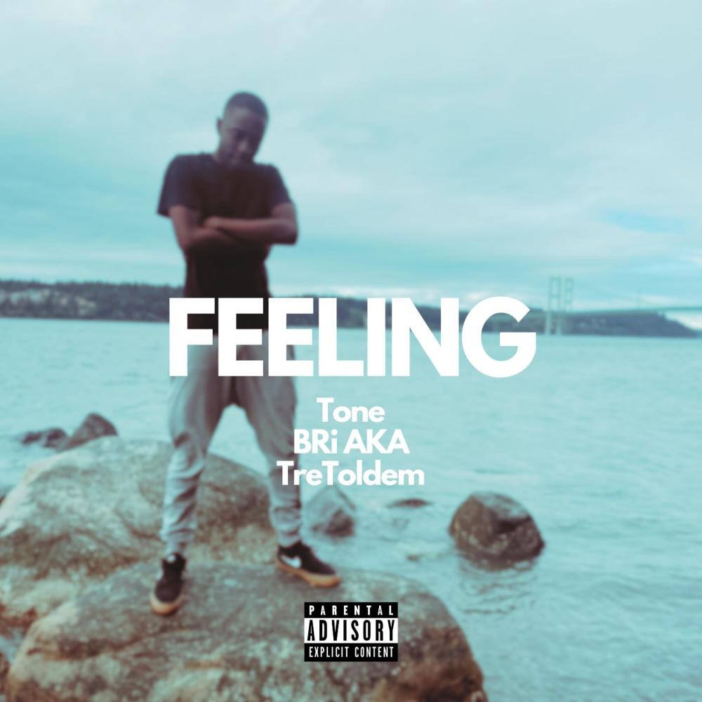 Feeling (feat. BRi AKA & TreToldEm) (Explicit)