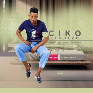 Iciko lengezo的專輯Iphupho Elimbelebele