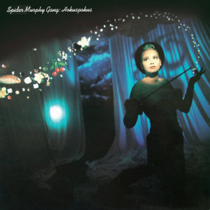 ดาวน์โหลดและฟังเพลง Hokuspokus พร้อมเนื้อเพลงจาก Spider Murphy Gang