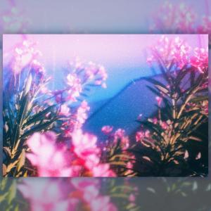 收聽Shotty的snow歌詞歌曲