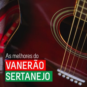 收聽Porca Véia的Gaiteiro por Demais歌詞歌曲