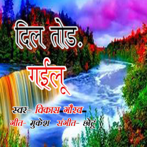 Album Dil Tod ke Gailu from Vikash Gaurav
