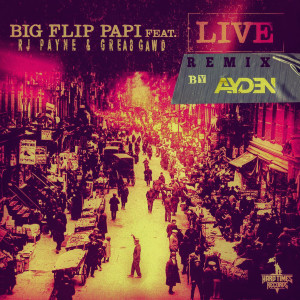 收听Big Flip Papi的Live (Remix) (其他)歌词歌曲